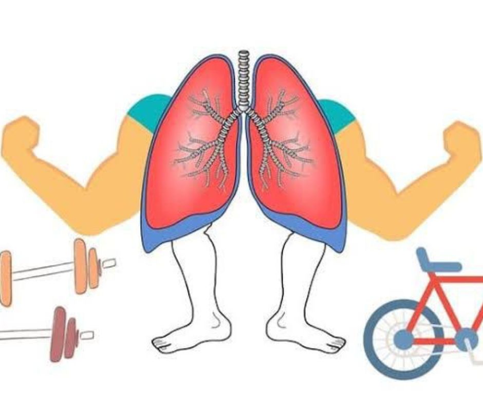 Ilustración de pulmones y rehabilitación respiratoria